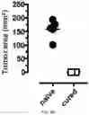 Fig. 46 - CHIMERIC ANTIGEN RECEPTOR T CELLS AND METHODS OF USE THEREOF