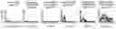 Fig. 49 - CHIMERIC ANTIGEN RECEPTOR T CELLS AND METHODS OF USE THEREOF