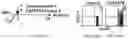 Fig. 53 - CHIMERIC ANTIGEN RECEPTOR T CELLS AND METHODS OF USE THEREOF