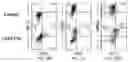 Fig. 55 - CHIMERIC ANTIGEN RECEPTOR T CELLS AND METHODS OF USE THEREOF