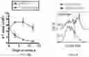 Fig. 57 - CHIMERIC ANTIGEN RECEPTOR T CELLS AND METHODS OF USE THEREOF