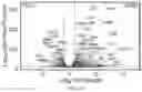 Fig. 62 - CHIMERIC ANTIGEN RECEPTOR T CELLS AND METHODS OF USE THEREOF