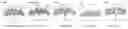 Fig. 74 - CHIMERIC ANTIGEN RECEPTOR T CELLS AND METHODS OF USE THEREOF