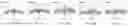 Fig. 75 - CHIMERIC ANTIGEN RECEPTOR T CELLS AND METHODS OF USE THEREOF