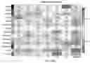 Fig. 83 - CHIMERIC ANTIGEN RECEPTOR T CELLS AND METHODS OF USE THEREOF