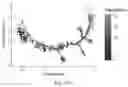 Fig. 87 - CHIMERIC ANTIGEN RECEPTOR T CELLS AND METHODS OF USE THEREOF