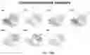 Fig. 91 - CHIMERIC ANTIGEN RECEPTOR T CELLS AND METHODS OF USE THEREOF