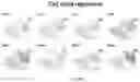 Fig. 92 - CHIMERIC ANTIGEN RECEPTOR T CELLS AND METHODS OF USE THEREOF