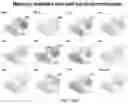 Fig. 93 - CHIMERIC ANTIGEN RECEPTOR T CELLS AND METHODS OF USE THEREOF