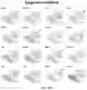 Fig. 94 - CHIMERIC ANTIGEN RECEPTOR T CELLS AND METHODS OF USE THEREOF