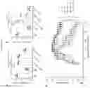 Fig. 07 - METHOD OF TREATING AUTOIMMUNE AND INFLAMMATORY DISEASES USING B CELLS