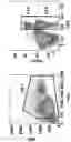 Fig. 19 - METHOD OF TREATING AUTOIMMUNE AND INFLAMMATORY DISEASES USING B CELLS