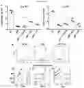 Fig. 20 - METHOD OF TREATING AUTOIMMUNE AND INFLAMMATORY DISEASES USING B CELLS