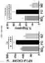 Fig. 25 - METHOD OF TREATING AUTOIMMUNE AND INFLAMMATORY DISEASES USING B CELLS