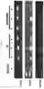 Fig. 30 - METHOD OF TREATING AUTOIMMUNE AND INFLAMMATORY DISEASES USING B CELLS