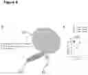 Fig. 10 - MIRNA FOR USE IN THERAPY