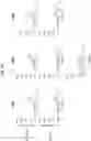 Fig. 43 - Compositions and methods for treating ceacam positive cancers