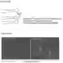 Fig. 07 - Scalable Production of Standardized Extracellular Vesicles, Extracellular Vesicle Preparations and Uses Thereof
