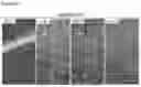 Fig. 22 - Scalable Production of Standardized Extracellular Vesicles, Extracellular Vesicle Preparations and Uses Thereof