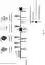 Fig. 32 - COMPOSITIONS AND METHODS FOR THE TREATMENT OF ALLERGY