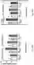 Fig. 33 - COMPOSITIONS AND METHODS FOR THE TREATMENT OF ALLERGY