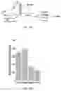Fig. 11 - COMPOSITIONS AND METHODS FOR ENHANCING EXERCISE ENDURANCE
