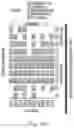 Fig. 19 - COMPOSITIONS AND METHODS FOR ENHANCING EXERCISE ENDURANCE