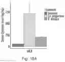 Fig. 28 - COMPOSITIONS AND METHODS FOR ENHANCING EXERCISE ENDURANCE