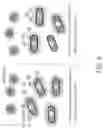 Fig. 06 - COMBINATIONS OF ENGINEERED ANTIMICROBIAL PROBIOTICS FOR TREATMENT OF GASTROINTESTINAL TRACT PATHOGENS