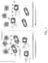 Fig. 08 - COMBINATIONS OF ENGINEERED ANTIMICROBIAL PROBIOTICS FOR TREATMENT OF GASTROINTESTINAL TRACT PATHOGENS