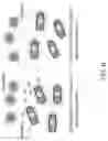 Fig. 09 - COMBINATIONS OF ENGINEERED ANTIMICROBIAL PROBIOTICS FOR TREATMENT OF GASTROINTESTINAL TRACT PATHOGENS
