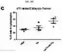 Fig. 16 - Platform oncolytic vector for systemic delivery