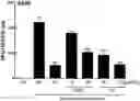 Fig. 01 - PHARMACEUTICAL COMPOSITION COMPRISING EXTRACT FROM CAMELLIA JAPONICA AS ACTIVE INGREDIENT FOR PREVENTION AND TREATMENT OF VIRAL INFECTION