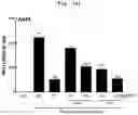 Fig. 11 - PHARMACEUTICAL COMPOSITION COMPRISING EXTRACT FROM CAMELLIA JAPONICA AS ACTIVE INGREDIENT FOR PREVENTION AND TREATMENT OF VIRAL INFECTION
