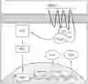 Fig. 01 - Methods for treating symptoms of dry eye disease