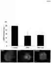 Fig. 04 - PEPTIDES AND MEDICAL USES THEREOF