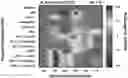 Fig. 01 - ANTIMICROBIAL FUSION PEPTIDES