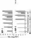 Fig. 04 - ANTIMICROBIAL FUSION PEPTIDES