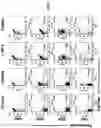 Fig. 05 - ANTIMICROBIAL FUSION PEPTIDES
