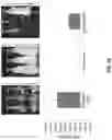 Fig. 14 - ANTIMICROBIAL FUSION PEPTIDES