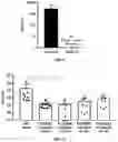 Fig. 09 - Compositions comprising antimicrobial peptides