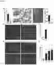 Fig. 02 - METHODS OF TREATING OF INFLAMMATORY BOWEL DISEASE AND PARASITE INFECTION