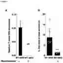 Fig. 05 - METHODS OF TREATING OF INFLAMMATORY BOWEL DISEASE AND PARASITE INFECTION