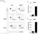 Fig. 14 - METHODS OF TREATING OF INFLAMMATORY BOWEL DISEASE AND PARASITE INFECTION