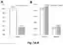 Fig. 06 - Fibroin-derived protein composition