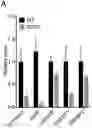 Fig. 01 - EXPRESSION VECTOR FOR CHOLESTEROL 24-HYDROLASE IN THERAPY OF AMYOTROPHIC LATERAL SCLEROSIS