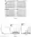 Fig. 03 - EXPRESSION VECTOR FOR CHOLESTEROL 24-HYDROLASE IN THERAPY OF AMYOTROPHIC LATERAL SCLEROSIS