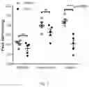 Fig. 04 - Choline acetyltransferase as a therapy for hypertension