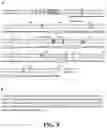 Fig. 08 - Methods and compositions for treating coronavirus infections