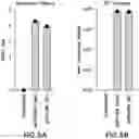 Fig. 07 - PATHOGEN-ASSOCIATED MOLECULAR PATTERN MOLECULES AND RNA IMMUNOGENIC COMPOSITIONS AND METHODS OF USING THE COMPOSITIONS FOR TREATING CANCER